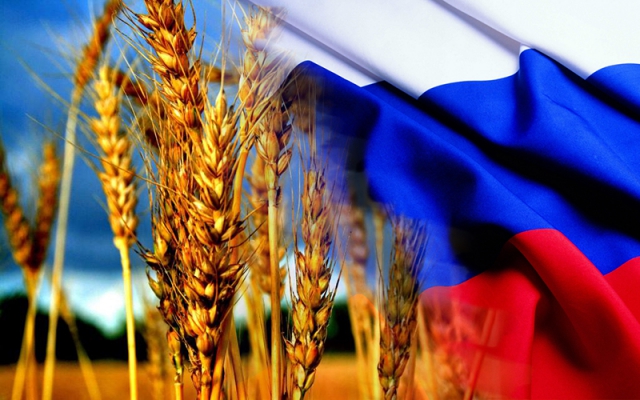 Россия – крупнейший экспортер зерна